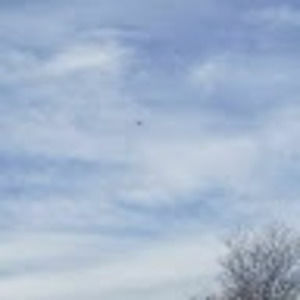 Meet your Posher, Armando